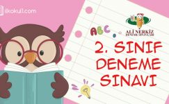 2. SINIF SENE BAŞI SEVİYE TESPİT SINAVI (STS)