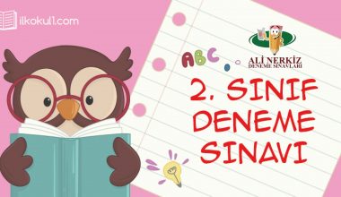 2. SINIF SENE BAŞI SEVİYE TESPİT SINAVI (STS)