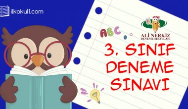 3. SINIF 1. DÖNEM 3. DENEME SINAVI (ANDS3 KDS3)