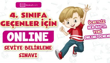 4. Sınıfa Geçenler İçin Sene Başı Seviye Belirleme Sınavı -3-