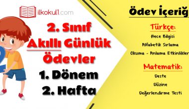 2. Sınıf Günlük Ödevler 1. Dönem 2. Hafta