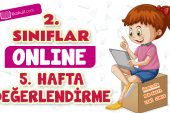 2. Sınıflar -5. Hafta Değerlendirme Testi-