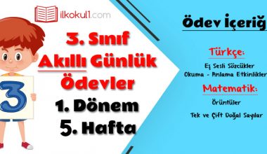 3. Sınıf Günlük Ödevler 1. Dönem 5. Hafta