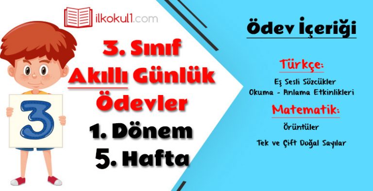 3. Sınıf Günlük Ödevler 1. Dönem 5. Hafta