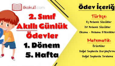 2. Sınıf Günlük Ödevler 1. Dönem 5. Hafta