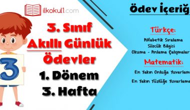 3. Sınıf Günlük Ödevler 1. Dönem 3. Hafta