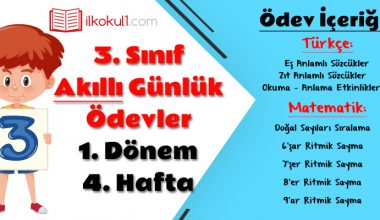 3. Sınıf Günlük Ödevler 1. Dönem 4. Hafta