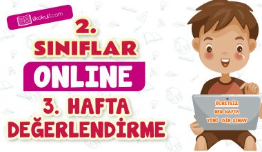 2. Sınıflar -3. Hafta Değerlendirme Testi-