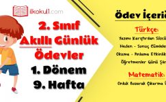 2. Sınıf Günlük Ödevler 1. Dönem 9. Hafta