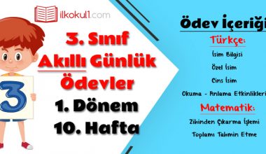 3. Sınıf Günlük Ödevler 1. Dönem 10. Hafta