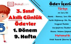 3. Sınıf Günlük Ödevler 1. Dönem 9. Hafta