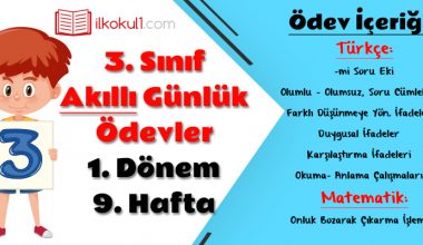 3. Sınıf Günlük Ödevler 1. Dönem 9. Hafta