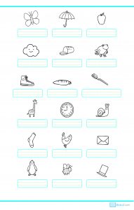 1. sınıf okuma anlama