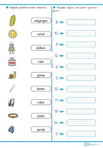 1. sınıf okuma anlama