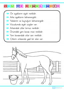 1. sınıf okuma anlama