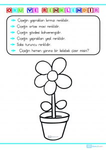 1. sınıf okuma anlama