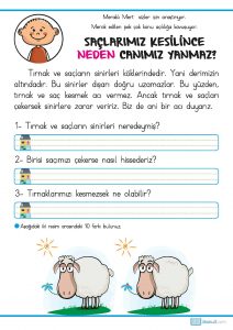 1. sınıf okuma anlama