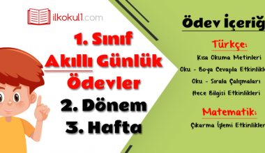 1. Sınıf Günlük Ödevler 2. Dönem 3. Hafta