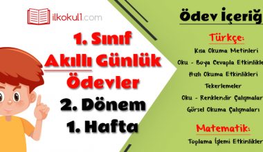 1. Sınıf Günlük Ödevler 2. Dönem 1. Hafta