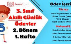 3. Sınıf Günlük Ödevler 2. Dönem 1. Hafta