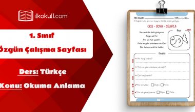 1. Sınıf Türkçe Dersi Okuma Anlama Etkinlik Sayfası