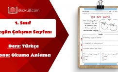 1. Sınıf Türkçe Dersi Okuma Anlama Etkinlik Sayfası