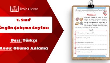 1. Sınıf Türkçe Dersi Okuma Anlama Etkinlik Sayfası