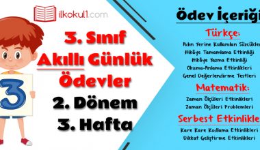 3. Sınıf Günlük Ödevler 2. Dönem 3. Hafta