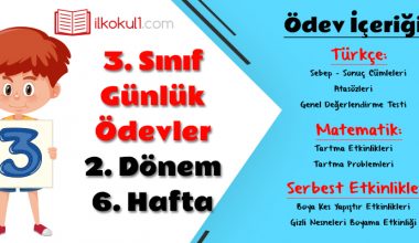 3. Sınıf Günlük Ödevler 2. Dönem 6. Hafta