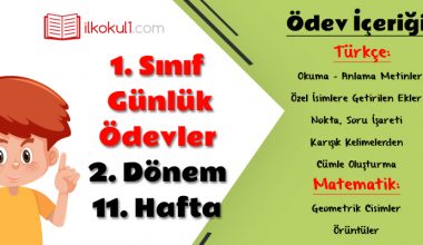 1. Sınıf Günlük Ödevler 2. Dönem 11. Hafta