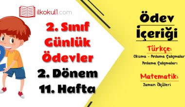 2. Sınıf Günlük Ödevler 2. Dönem 11. Hafta