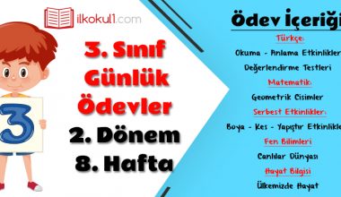 3. Sınıf Günlük Ödevler 2. Dönem 8. Hafta