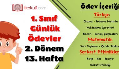 1. Sınıf Günlük Ödevler 2. Dönem 13. Hafta