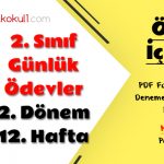 2. Sınıf Günlük Ödevler 2. Dönem 12. Hafta
