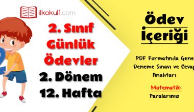 2. Sınıf Günlük Ödevler 2. Dönem 12. Hafta