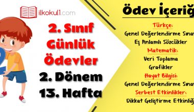 2. Sınıf Günlük Ödevler 2. Dönem 13. Hafta