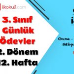 3. Sınıf Günlük Ödevler 2. Dönem 12. Hafta