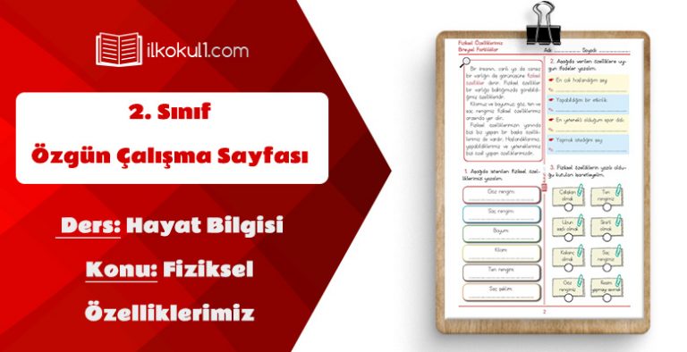 2. Sınıf Hayat Bilgisi Fiziksel Özelliklerimiz