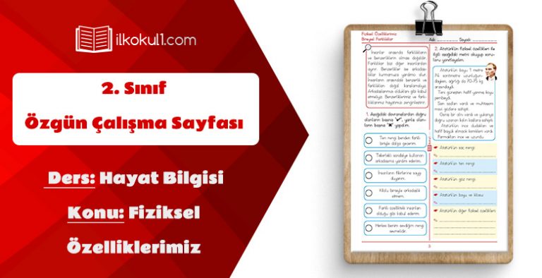 2. Sınıf Hayat Bilgisi Fiziksel Özelliklerimiz