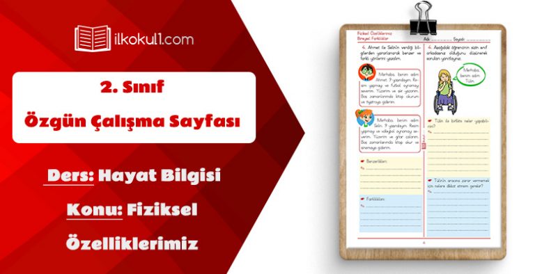 2. Sınıf Hayat Bilgisi Fiziksel Özelliklerimiz