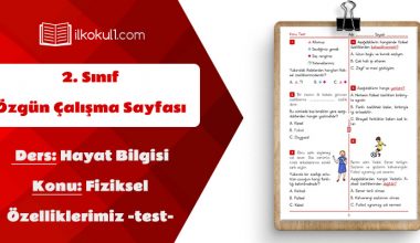 2. Sınıf Hayat Bilgisi Fiziksel Özelliklerimiz -TEST-