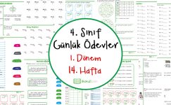 4. Sınıf Günlük Ödevler 1. Dönem 14. Hafta
