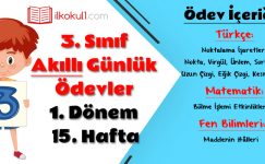 3. Sınıf Günlük Ödevler 1. Dönem 15. Hafta