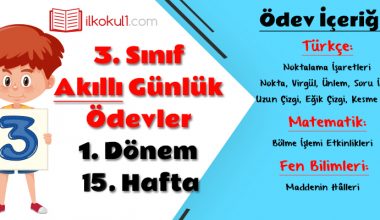 3. Sınıf Günlük Ödevler 1. Dönem 15. Hafta