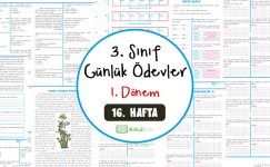 3. Sınıf Günlük Ödevler 1. Dönem 16. Hafta