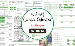 4. Sınıf Günlük Ödevler 1. Dönem 16. Hafta