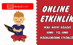 2. SINIF HAYAT BİLGİSİ YIL SONU DEĞERLENDİRME ETKİNLİĞİ