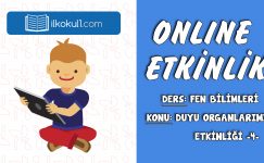SINIF FEN BİLİMLERİ DUYU ORGANLARIMIZ ETKİNLİĞİ -4-