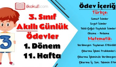 3. Sınıf Günlük Ödevler 1. Dönem 11. Hafta