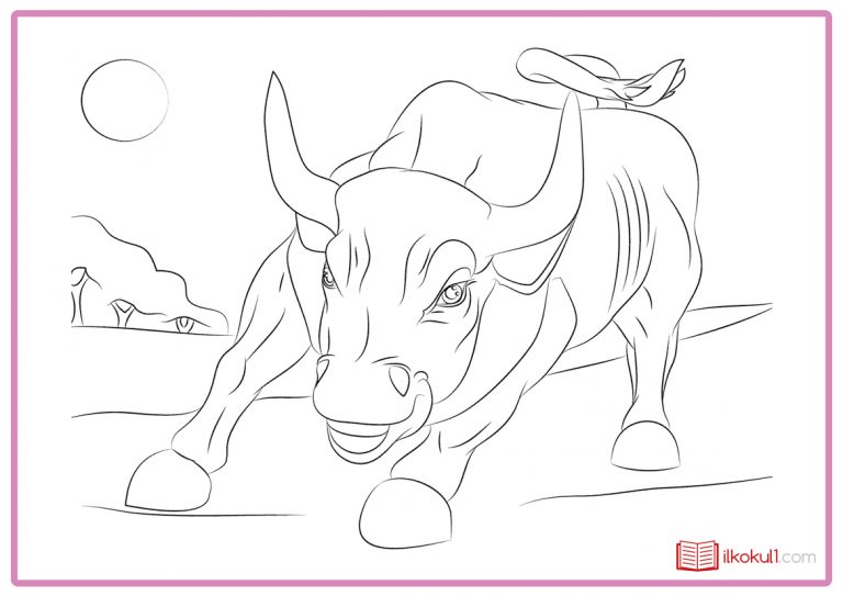 Boğa Boyama Sayfaları